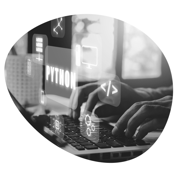 Python Development Company